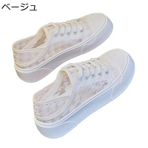 fB[X fbLV[Y t GXph[ LoX tbg `[ bV Xj[J[ [XAbv AEghAV[Y [Jbg 킢 LC ~ 