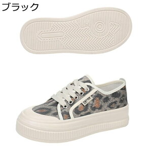 GXpV[Y Ip[h  fB[X [XAbv qE fbLV[Y tbgvbgtH[ gAbv GXph[ R LoX y ₷ [Jbg 