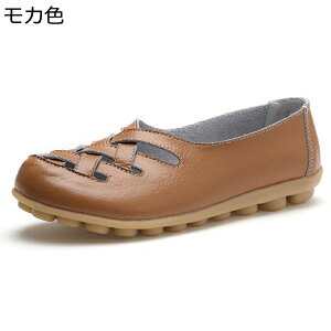 pvX JV U[ {v  fB[X tbgV[Y 傫TCY }}V[Y ؂ i[XV[Y tCČC H Ƀ\tg NbV  ʋ ItBX