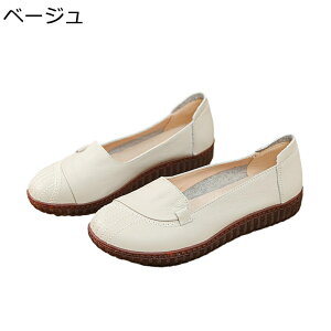 pvX [t@[ fB[X {v tbgV[Y }}V[Y ؂ U[ vC 芴 tCČC  t@bV JWA ʋ ItBX