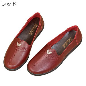 [t@[ JV tbg fB[X }}V[Y XbvI { Xb| ₷ tCČC \tg NbV n JWA tFCNU[ K  ʋ ItBX 