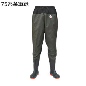 EF[_[ tC EFXg ނ hY{ EF[fBOu[c OCu[c Sh y fB[X Y k C cA Y  hБ΍ ނ d ᓹ J