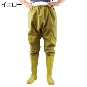 EF[_[ PVC EGXgEF[_[ EF[fBOu[c  ԃV[Y Sh ʋC ~ jp OCu[c Y  NX ~J΍ J΍ ނ d