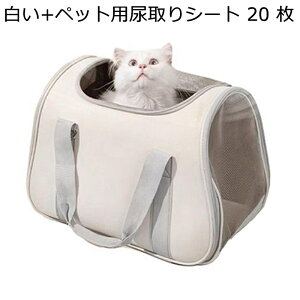 |Pbgt L[obO 萫 K ʋC y bVlbg x v[g ?w ybgpi Lp LL[obO ybgp ό`Ȃ E^LE^Ep