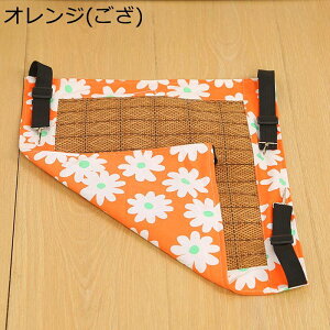 L nbN ݂艺xbh ybgnEX [֗ lRt P[W ʋC lGʗp ӂӂ  ȃXy[X |₷ Ȃ xe  @\ ߉\ P[W