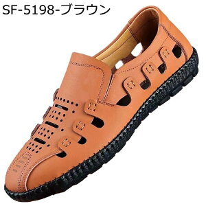 Y T_ rWlX Ƃ YT_ h X|[c O ʊw AEghA v ʋC