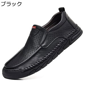 j  T_ Ƃ JEU[ AEghA  [N} ^] Xj[J[ ʊw gh ϖ