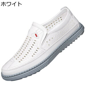 j T_ v Ƃ [V[Y  [N} ^] Xj[J[ O ʋ ϋv ʋC