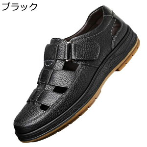 Y T_ Ƃ }WbNe[v YT_ O [N} ^] Xj[J[ ʊw gh