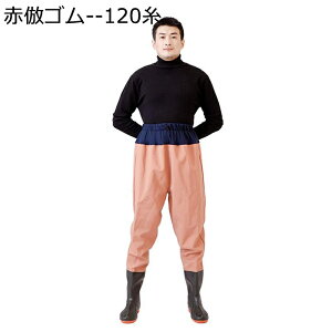 C EF[_[ PVC  EH[^[pc EGXg ނpCu[c hY{ ~J΍ h ʋC ~ jp Y  NX AEghA hБ΍ _ d
