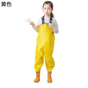 qEF[_[ EF[fBOu[c `FXgnC hY{ hȂ  WA\[  eq̐V V @  l C   qv[