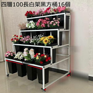 ԗ֕t t[fBXvCX^h i oPct  AX^h ԒI ϋv ړȒP VFt t[J[g peBIK[f rO[ ԉp peBIK[f