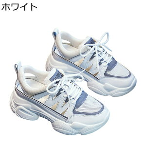  X|[cT_ fB[X TCY q[̍7cm [XAbv bV [Jbg v  T}[Xj[J[ ϊ JWA Xj[J[ NbV tďH i