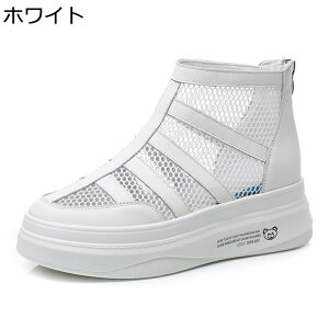 7cm T}[u[c T_u[c TCY fB[X obNWbp[ bV IV V[NbgV[Y2cm  ~ Cq[ ČC ʋC V[gu[c 