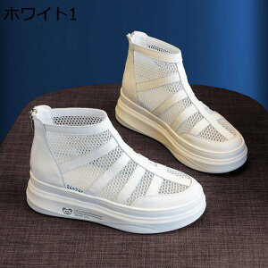 7cm T}[u[c T_u[c TCY fB[X obNWbp[ bV IV V[NbgV[Y2cm  ~ Cq[ ČC ʋC V[gu[c 