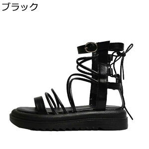 fB[X u[cT_  OfBG[^[T_ T}[u[c Xgbv  r[`T_ ₷ tbg TChWbp[  ʋC ~ Xg[g ʋ 