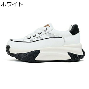 Xj[J[   fB[X [XAbv [Jbg v X|[cT_ 1cmCq[ w6cmȂ bV IV tďH ~  V[NbgV[Y