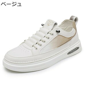 Y Xj[J[ bV X|[cV[Y y ₷ \tg  jOV[Y ^C  Ȃ ʋC ^Xj[J[ JWA g[jOV[Y EH[LO