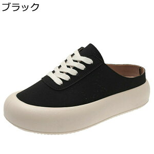 Xj[J[  fB[X [XAbv Xb| ƂȂ Vv gAbv JWA t  Vv _炩 NbV T{T_ Xbp ϖՐ Ȃ y X|