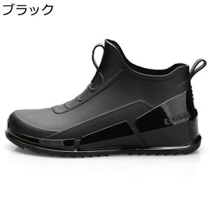 hV[Y CV[Y fB[X Xb| nCJbg Xj[J[ tbg hH J ~J 䕗 ɂ ʔNKp ʋ ʊw  Ɨp i s Ԍ n