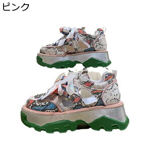 _bhXj[J[  fB[X gAbv y 6cm [X vC X|[cV[Y [XAbv h ~ Ռz ɂȂ ₷  ʋΒʊw 풅p U f[