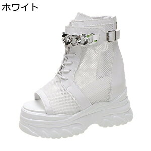 T_  fB[X 10cmgAbv [}T_ Cq[ bV `F[t ~ Ռz y nCJbg Ȑ tBbg ꂢ nCLO X|[c W[