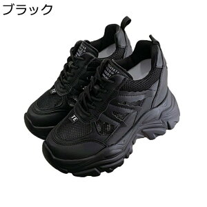 Cq[Xj[J[  fB[X 10cmgAbv bV  EH[LOV[Y V[NbgV[Y ϋv ϊ ϖՐ Ȑ  ʋΒʊw 풅p U f[g t