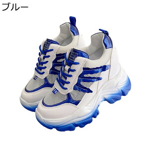 Cq[Xj[J[  fB[X 10cmgAbv bV  EH[LOV[Y V[NbgV[Y ϋv ϊ ϖՐ Ȑ  ʋΒʊw 풅p U f[g t