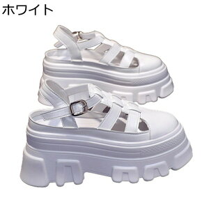 OfBG[^[T_ C fB[X 10cm gAbv T}[T_ h NbV y EFbW Gi Ȃ _ 킢 ig AEghA EH[LO  