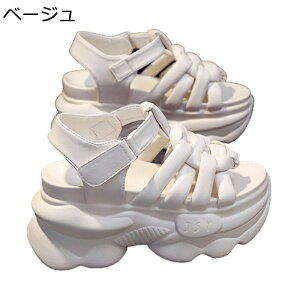  fB[X T}[T_ X|[cT_ 9cmgAbv ҂ݍ ČC EH[LOV[Y xN EFbW ɂ Ȃ ʋC y GKg אg U O 