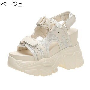  fB[X X|[cT_ gUP ČC 10.5cm obN Cq[X|[cV[Y JWA ~ Ռz T}[T_ ₷ ɂȂ y r r[` d