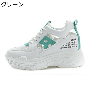 Cq[Xj[J[  fB[X 8cmgUP bV r y EH[LOV[Y ʋC V[NbgV[Y ~ Ռz Sn ₷ Vv ʋ ʊw s 