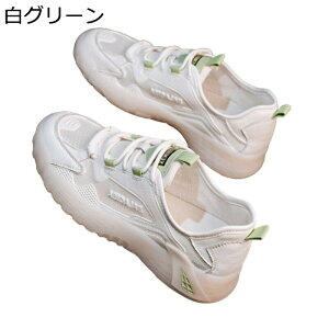 _bhXj[J[  fB[X T}[C y bV X|[cV[Y [XAbvV[Y ϖՐ ʋC h Sn ₷  s gx ʊw JWA t