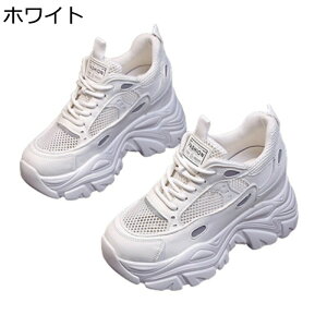  fB[X _bhXj[J[ V[NbgV[Y bV 9cmgAbv y X|[cV[Y JWA ϋv h ϖՐ Sn ₷  nCLO X|[c 