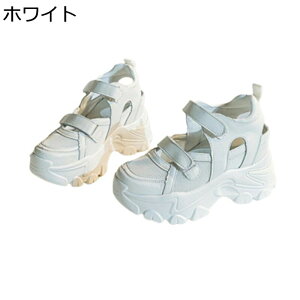 X|[cT_  fB[X gUP r 5cm bV T}[T_ xN ʋC h y JWAV[Y Ȃ _ 킢 d p o fC[ ėp