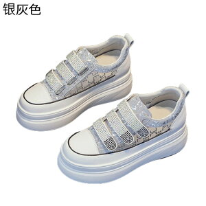 Xj[J[  fB[X bV gUP xN XpR[ T}[V[Y JWA r y V[NbgV[Y h Ȑ tBbg  nCLO X|[c 