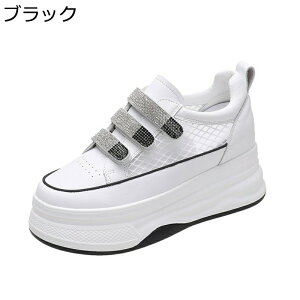  fB[X Cq[Xj[J[ V[NbgV[Y 8cm gAbv xN bV y EH[LOV[Y Xb| ^C h XpR[ ₷  ʊw g