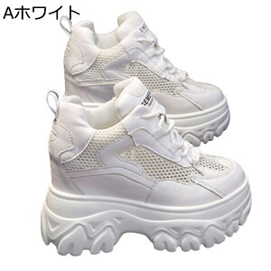 10cm C fB[X Cq[Xj[J[ V[NbgV[Y bV gUP IV y w X|[cV[Y JWA h y h EȒP RtH[g s gx 