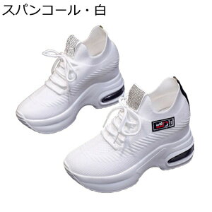 Cq[Xj[J[  fB[X jbg 9cmgUP r y Xb| V[NbgV[Y ʋC ~ Ռz Sn ₷  p o fC[ l