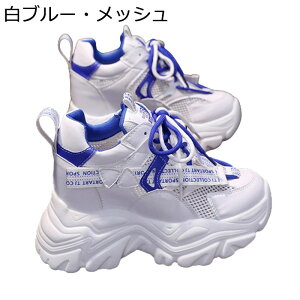  fB[X _bhXj[J[ V[NbgV[Y bV r 10.5cm y EH[LOV[Y ^C ϖՐ ʋC h ɂȂ ₷ ČC nCLO X|[c W