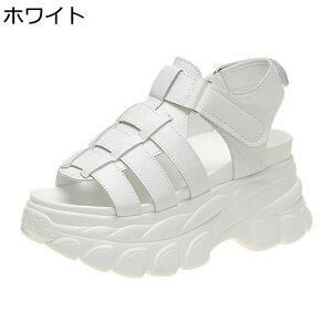 C fB[X T_ 8cmAbv X|[cT_  OfBG[^[ ҂ݍ v xN JWA ~ 傫TCY ₷ ɂȂ y  ItBX p[eB
