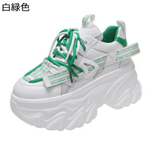  fB[X _bhXj[J[ V[NbgV[Y  8cmgAbv bV y X|[cV[Y JWA h  \tg Ȃ ʔNKp ʋΒʊw 풅p U 