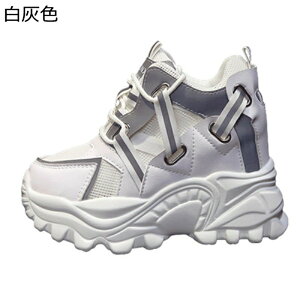  fB[X Cq[Xj[J[ 10cmAbv bV  V[NbgV[Y  r y EH[LOV[Y ^C h y ʋC ₷ ʋΒʊw 풅p U