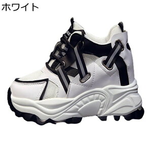  fB[X Cq[Xj[J[ 10cmAbv bV  V[NbgV[Y  r y EH[LOV[Y ^C h y ʋC ₷ ʋΒʊw 풅p U