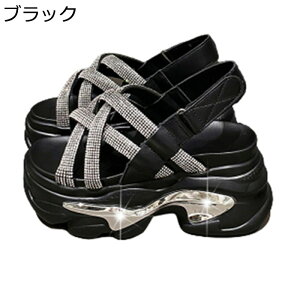 C fB[X T}[T_ X|[cT_ gUP NXXgbv 9cm vbgtH[ ČC EH[LO ^C h y h ɂ y Vv r r[` C V