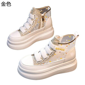  Xj[J[ V[NbgV[Y 8cmgUP fB[X xN nCJbg TChWbv IV y X|[cV[Y JWA ʋC h \tg Ȃ tH ʊw  