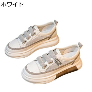  fB[X T}[V[Y Xj[J[ bV Xb|  gAbv y X|[c JWA h [Jbg EȒP RtH[g lGKp ig AEghA E