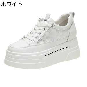 C fB[X Cq[Xj[J[ 8cm V[NbgV[Y r Vv y bV X|[c JWA ~ Ռz EȒP T}[V[Y nCLO X|[c