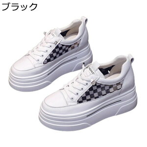 C fB[X Cq[Xj[J[ 8cm V[NbgV[Y r Vv y bV X|[c JWA ~ Ռz EȒP T}[V[Y nCLO X|[c