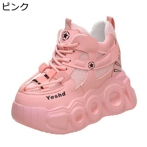 C fB[X Cq[Xj[J[ V[NbgV[Y 10cmAbv r Vv y X|[cV[Y JWA ϖՐ ʋC h \tg Ȃ ʔNKp ʊw i 